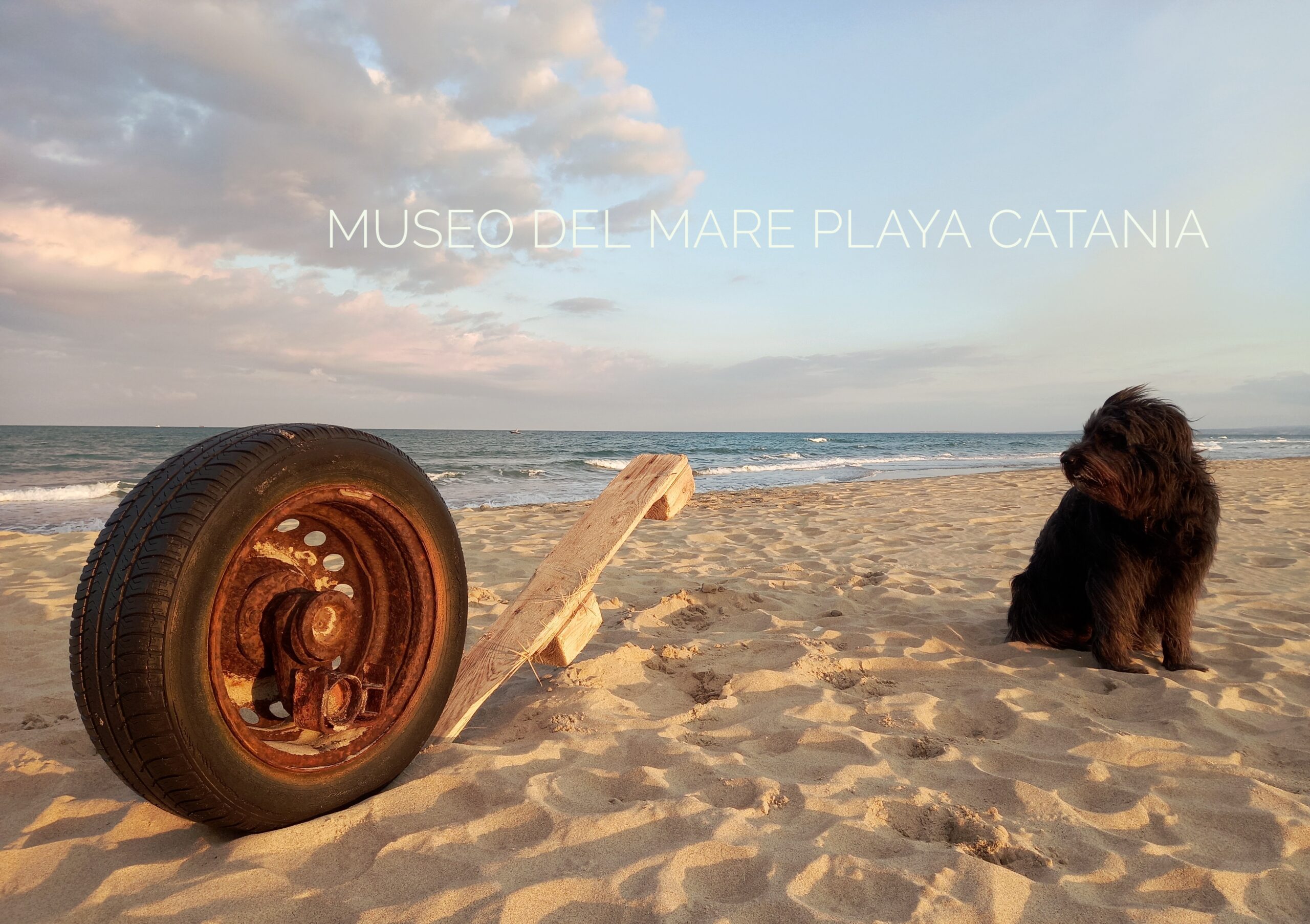 Museo del mare playa catania