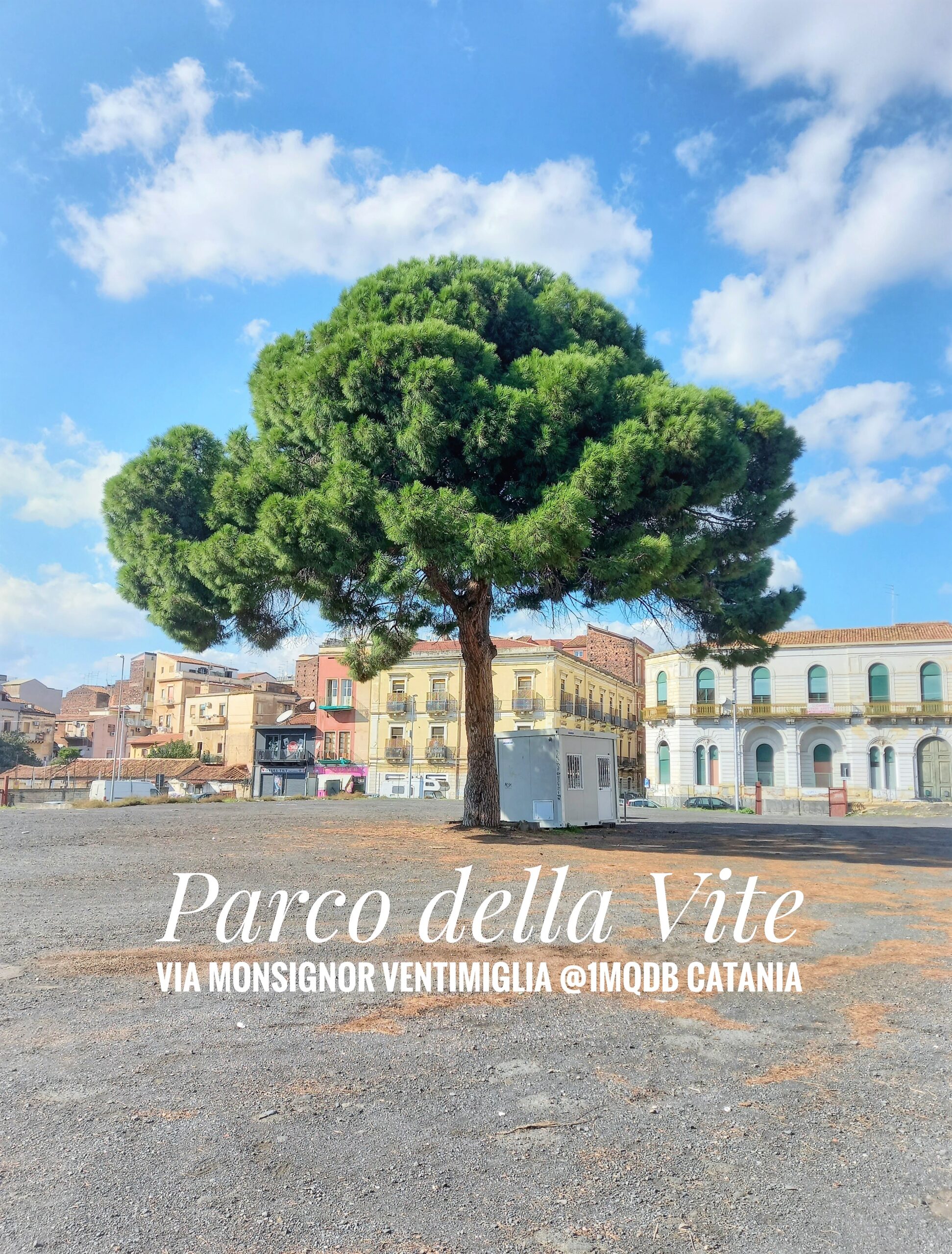 Parco della Vite Via Monsignor Ventimiglia, 1mqdb@catania