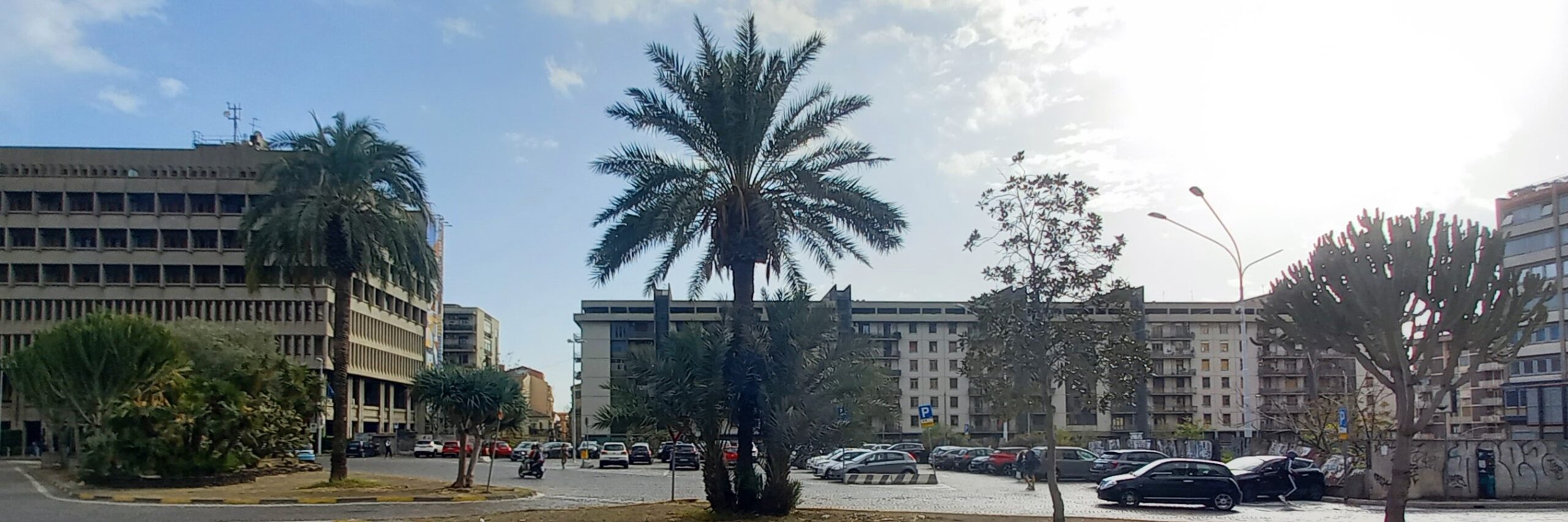 catania visionaria verde urbano palma corso sicilia 1mqdb