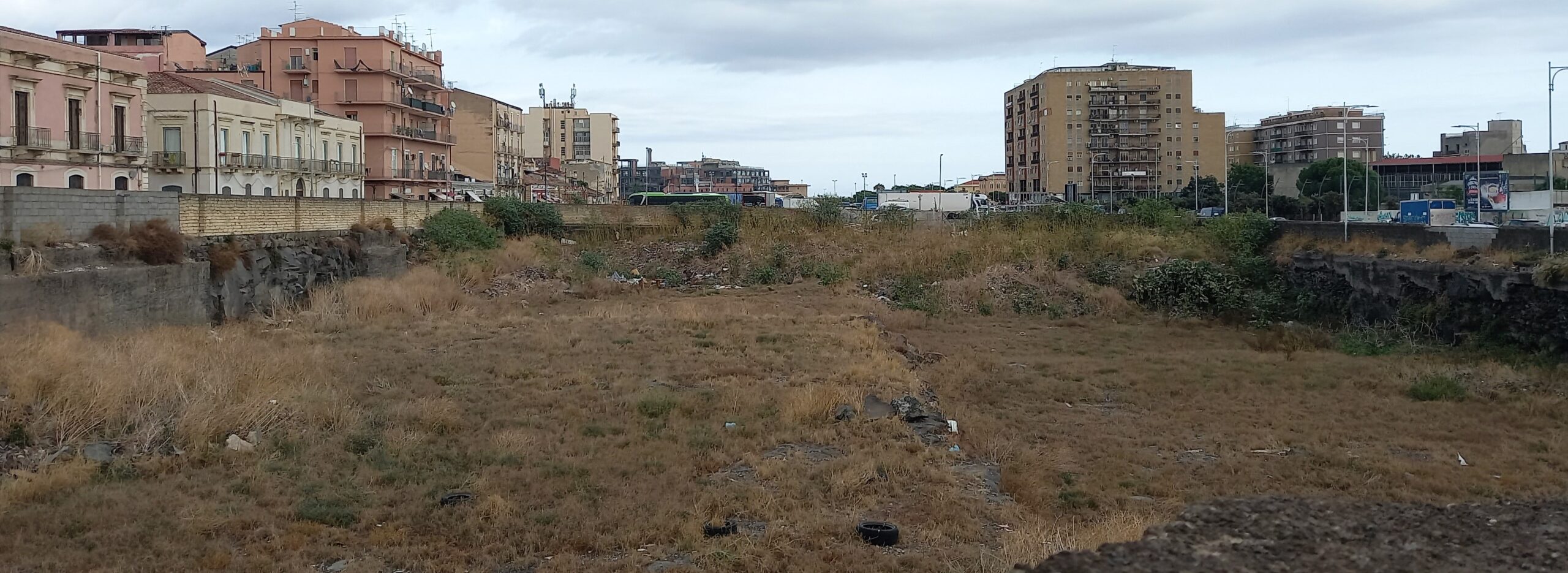 parco martiri della liberta 1mqdb verde urbano radici intercedono catania visionaria 5