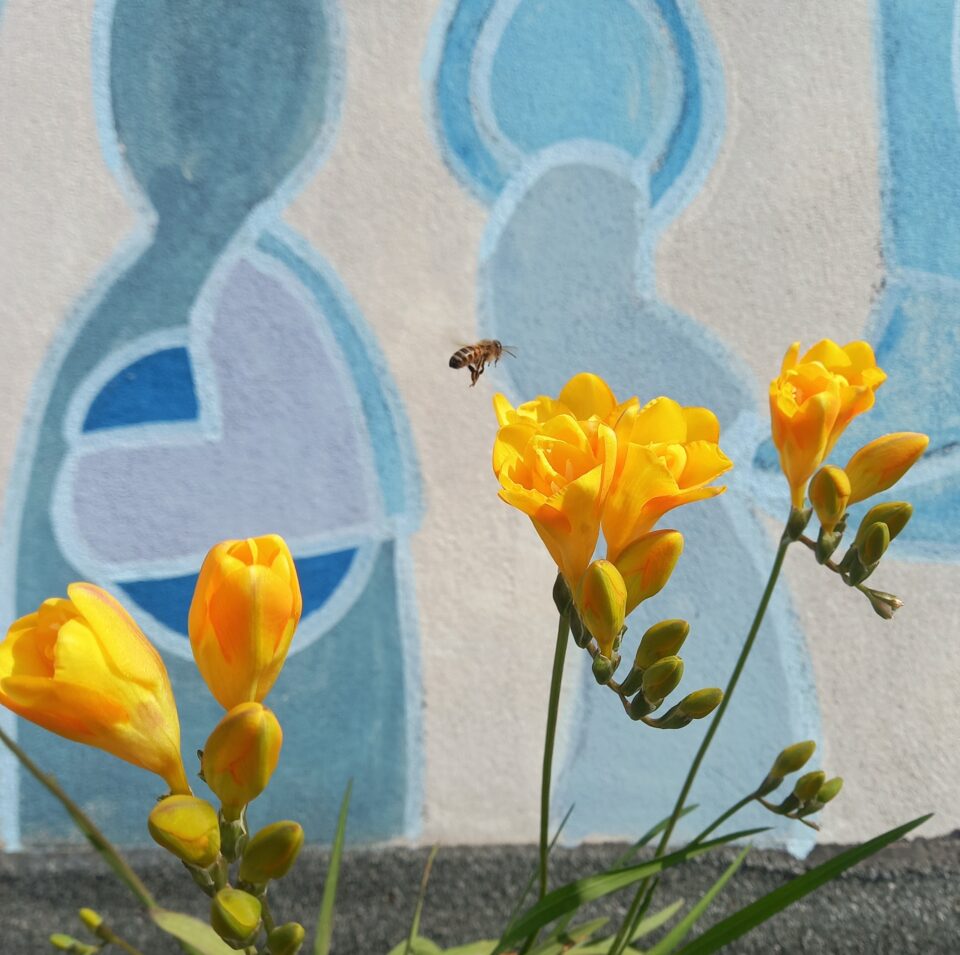 1mqdb cortile delle nevi