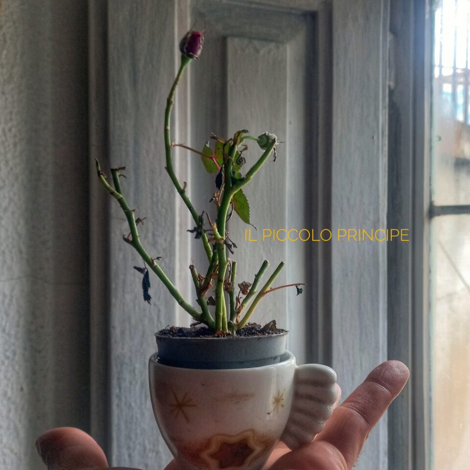 Appunti di un Diario Visionario Mezzanine Living