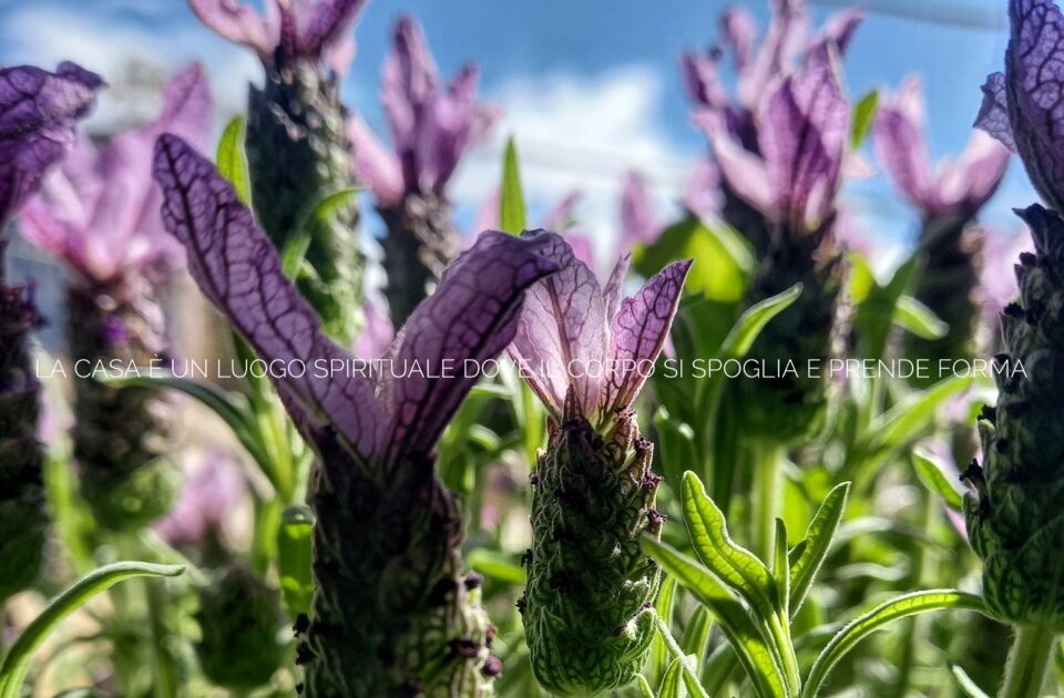 La casa è un luogo spirituale dove il corpo si spoglia e prende forma. Mezzanine Living 1mqdb