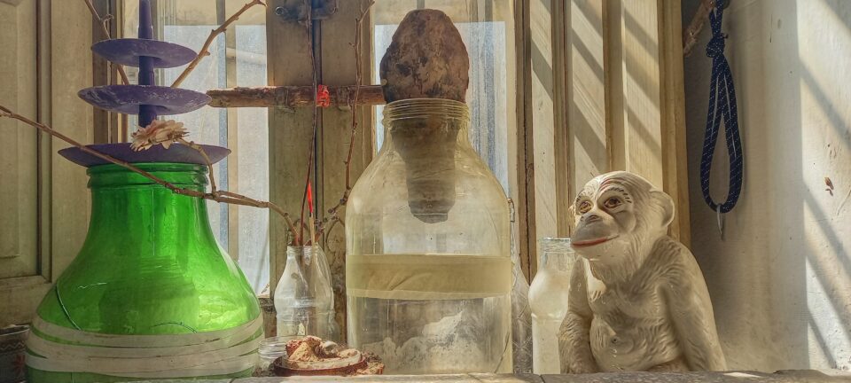 Scale del Sapere Pianeta Necessita Natura